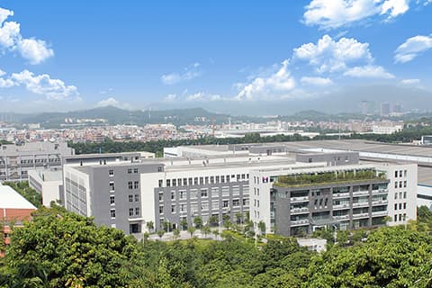Newlife milestone 2011